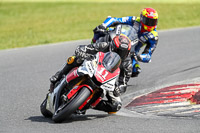 Advanced Group Multicolour Bikes